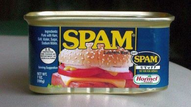 istoriya-slova-spam