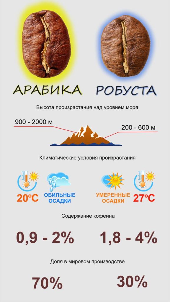Арабика или Робуста